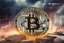 美联储加息周期下,BTC是避险资产还是高风险标的-USDTBI|币圈深度