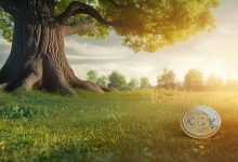 美联储加息周期结束了吗,BTC会迎来新一轮牛市吗-USDTBI|币圈深度